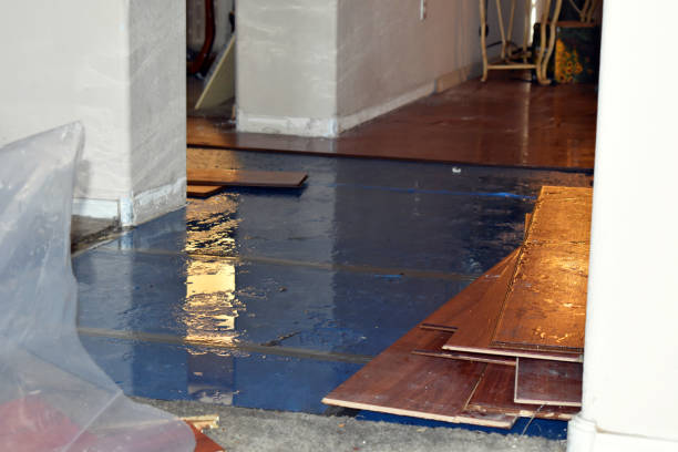 Professional Emergency Water Damage Restoration technician working in Columbus Grove, OH